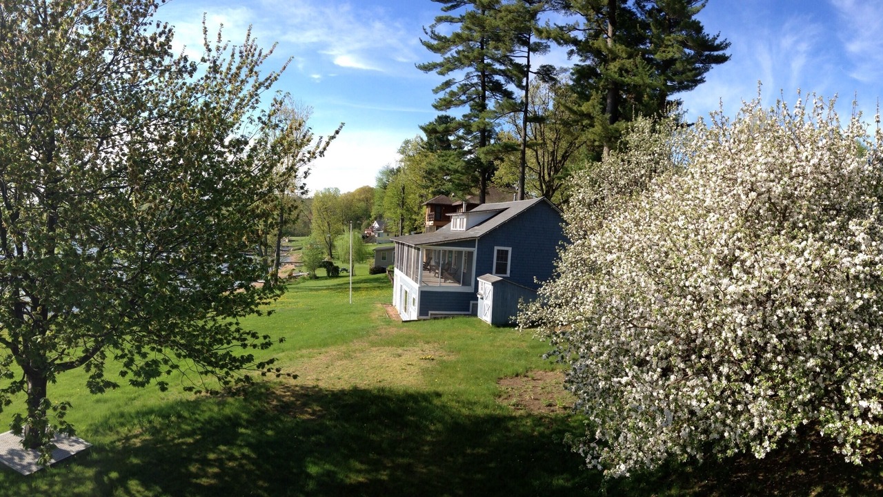Photo of Others in Malletts Bay