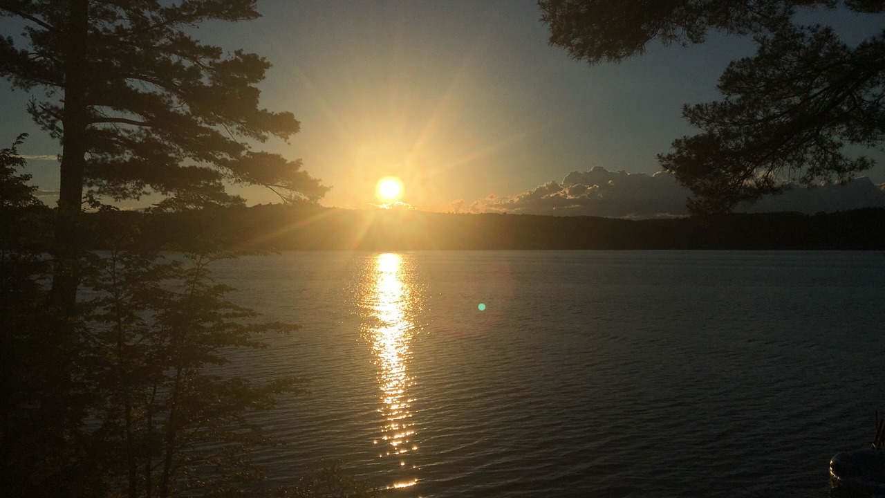 Photo of Others in Lochmere
