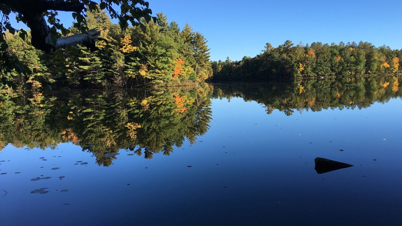 Photo of Outdoor in New Auburn