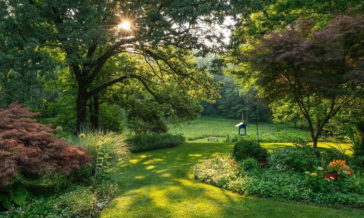 Photo of Outdoor in Climax