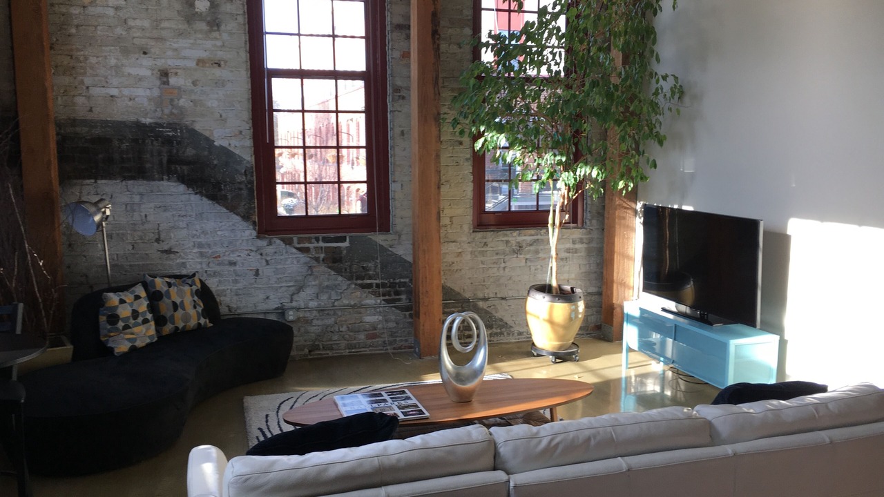 Photo of Livingroom in Dinkytown