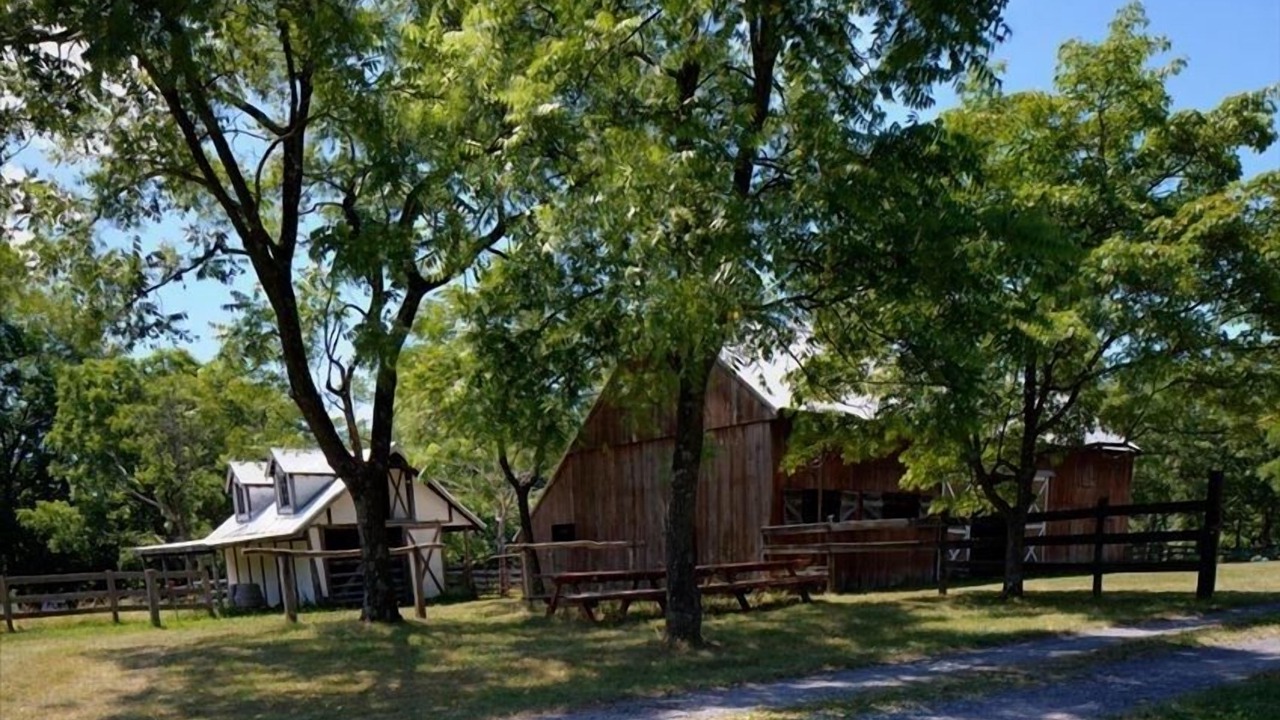 Photo of Outdoor in Hedgesville