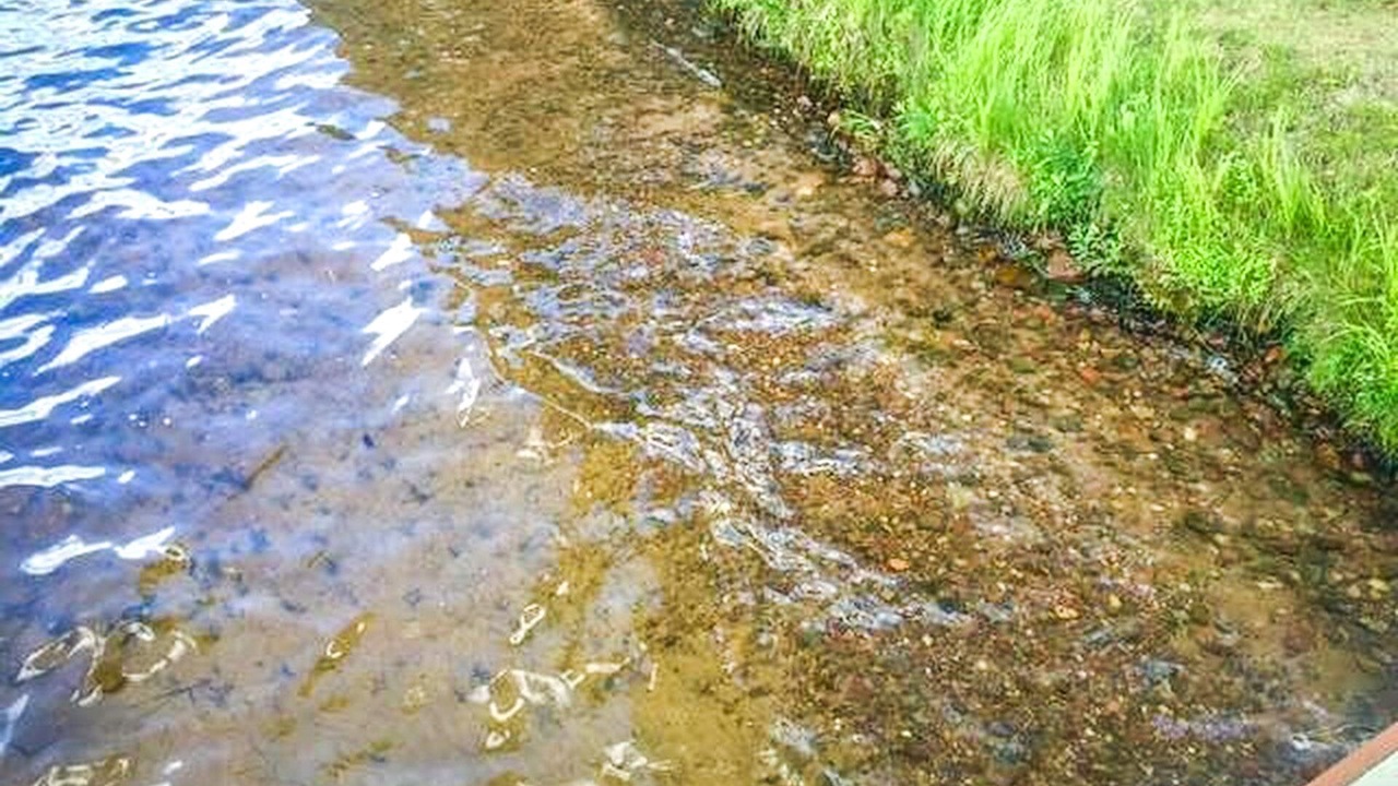 Photo of Outdoor in Woodruff