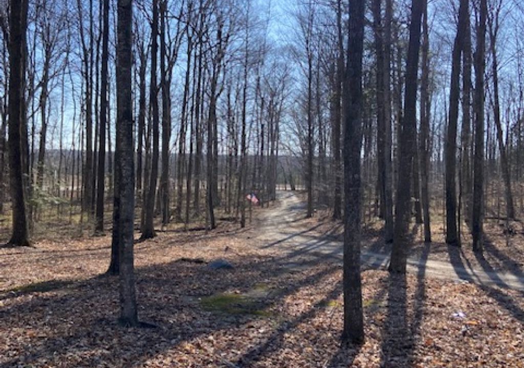 Photo of Others in Egg Harbor