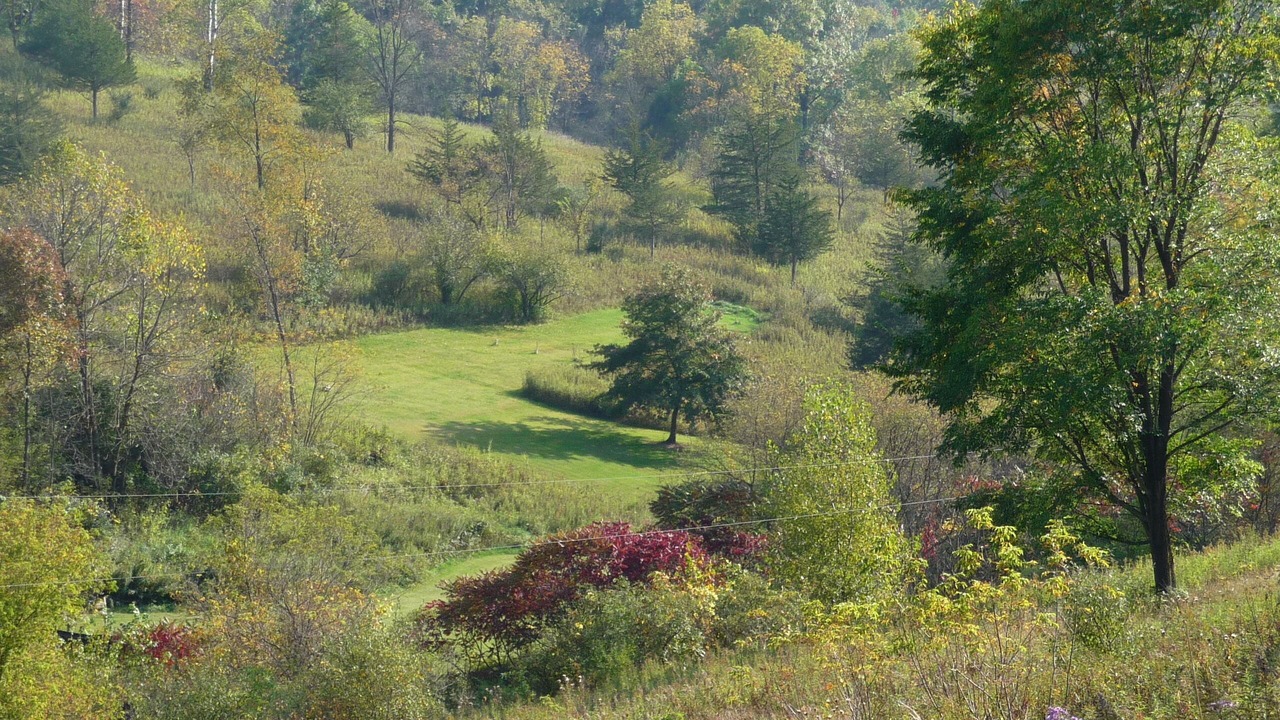 Photo of Others in Coon Valley