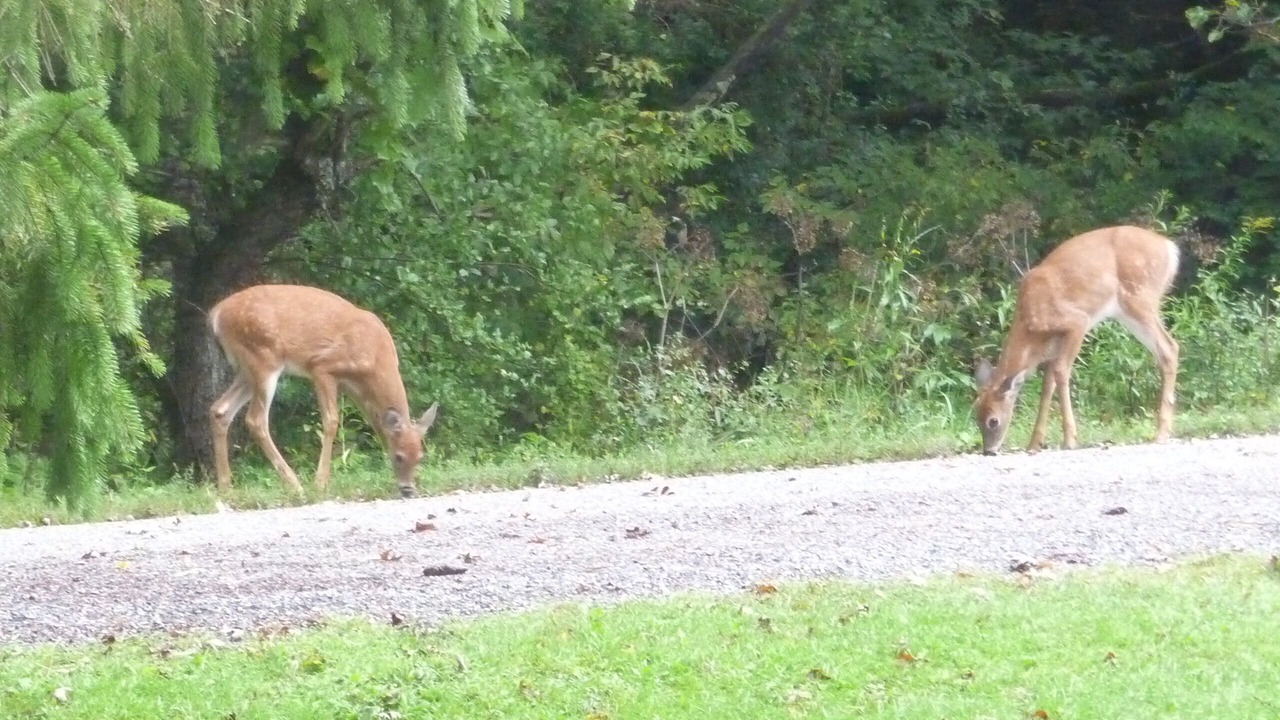 Photo of Others in Coon Valley