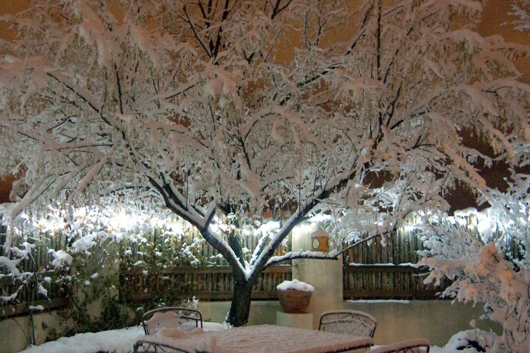 Photo of Outdoor in Taos
