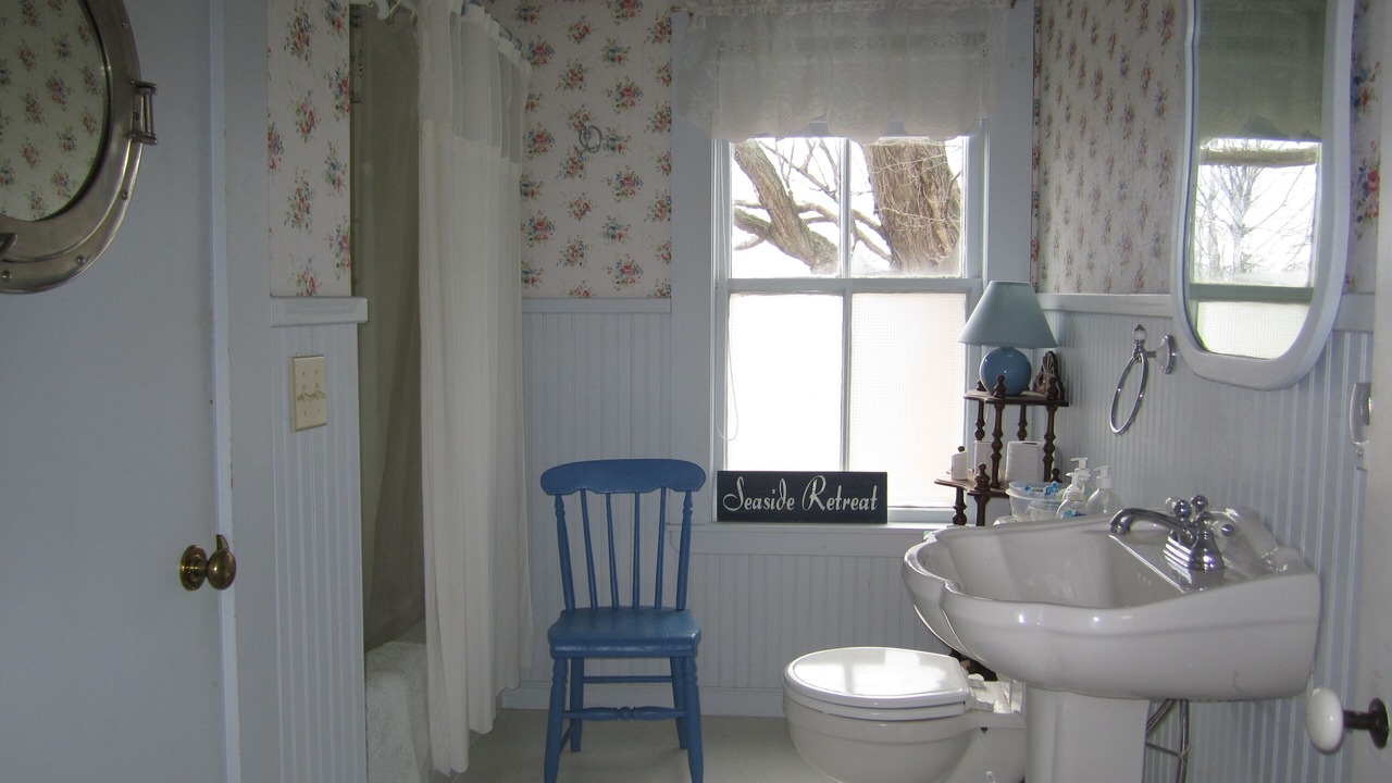 Photo of Bathroom in Alburg