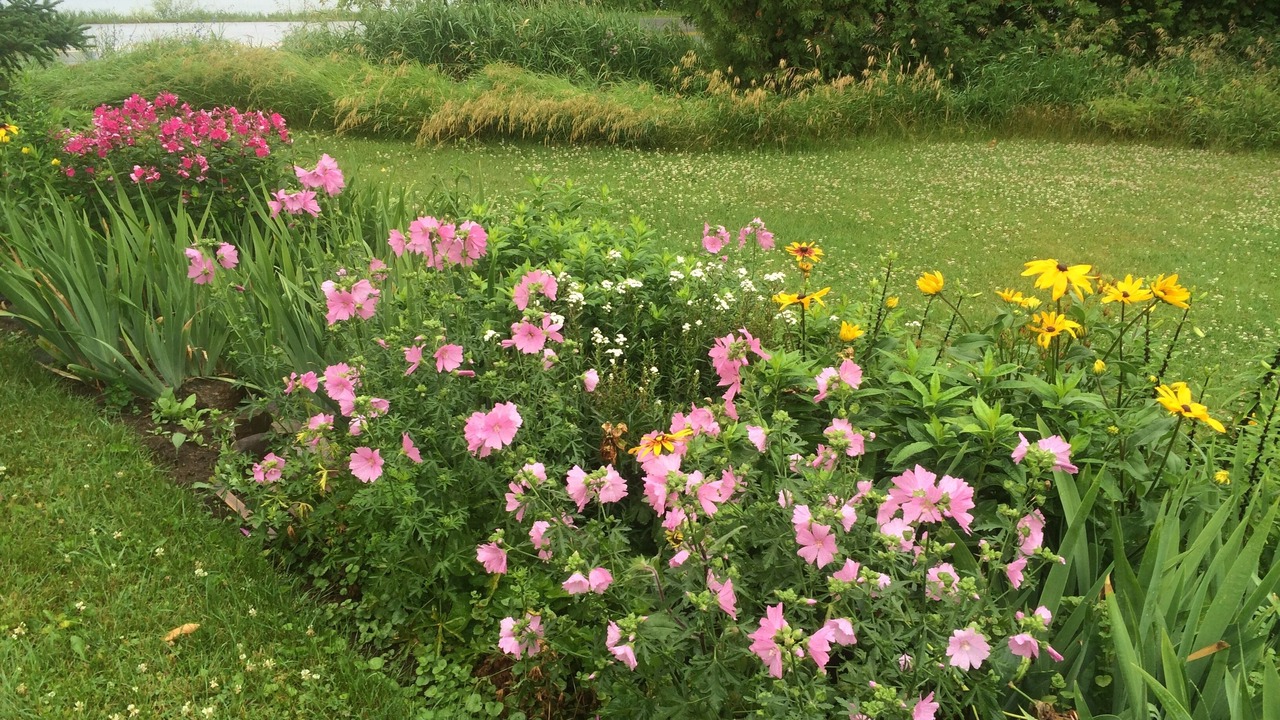 Photo of Outdoor in Alburg