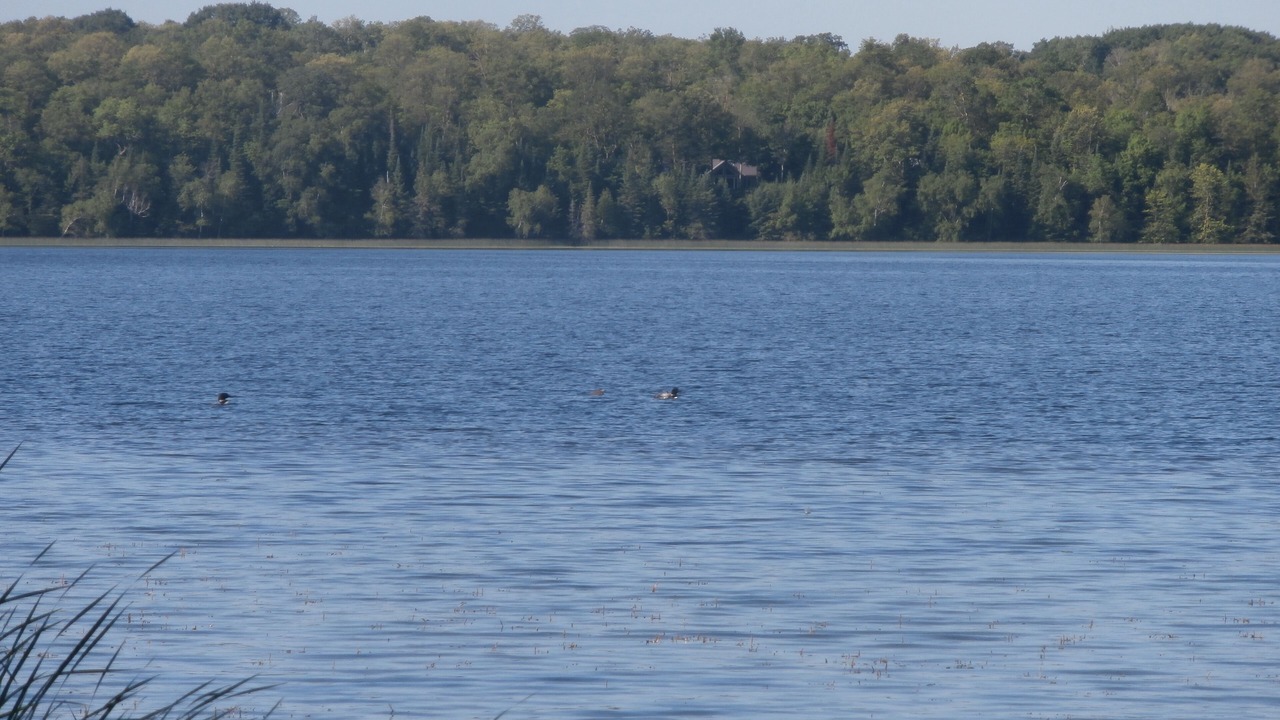 Photo of Outdoor in Frazee
