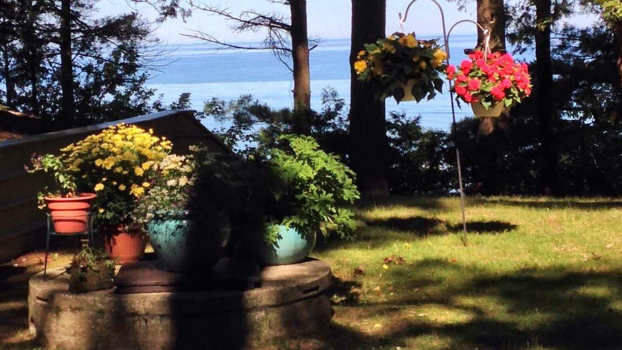 Photo of Outdoor in Pentwater