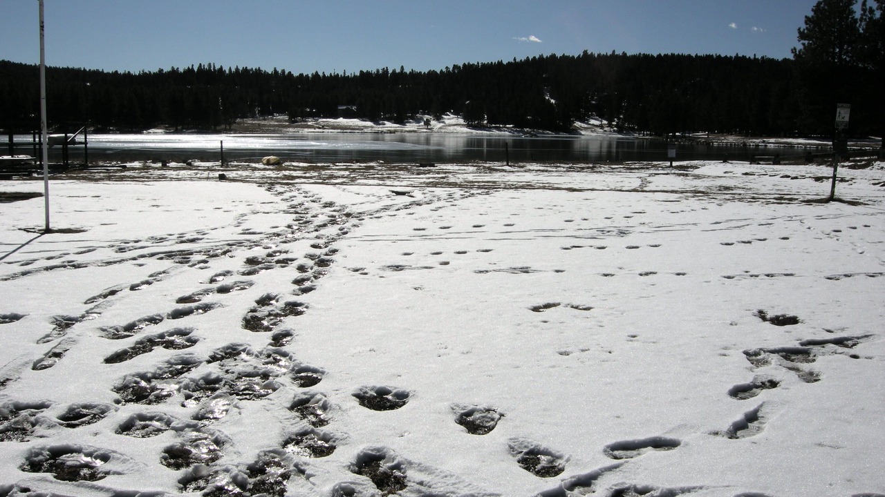 Photo of Outdoor in Angel Fire