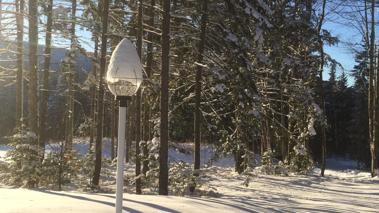 Photo of Outdoor in Wolcott