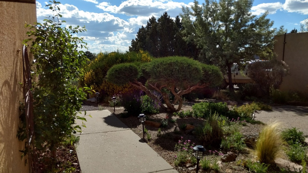 Photo of Outdoor in Tramway Terrace