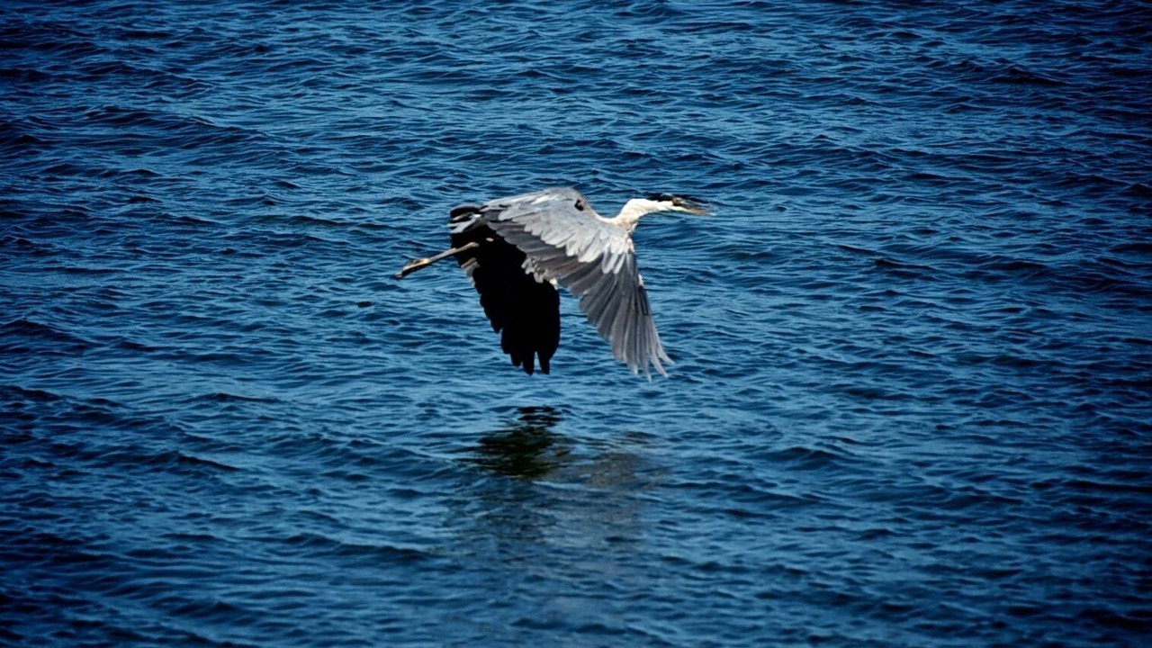 Photo of Others in Isle La Motte