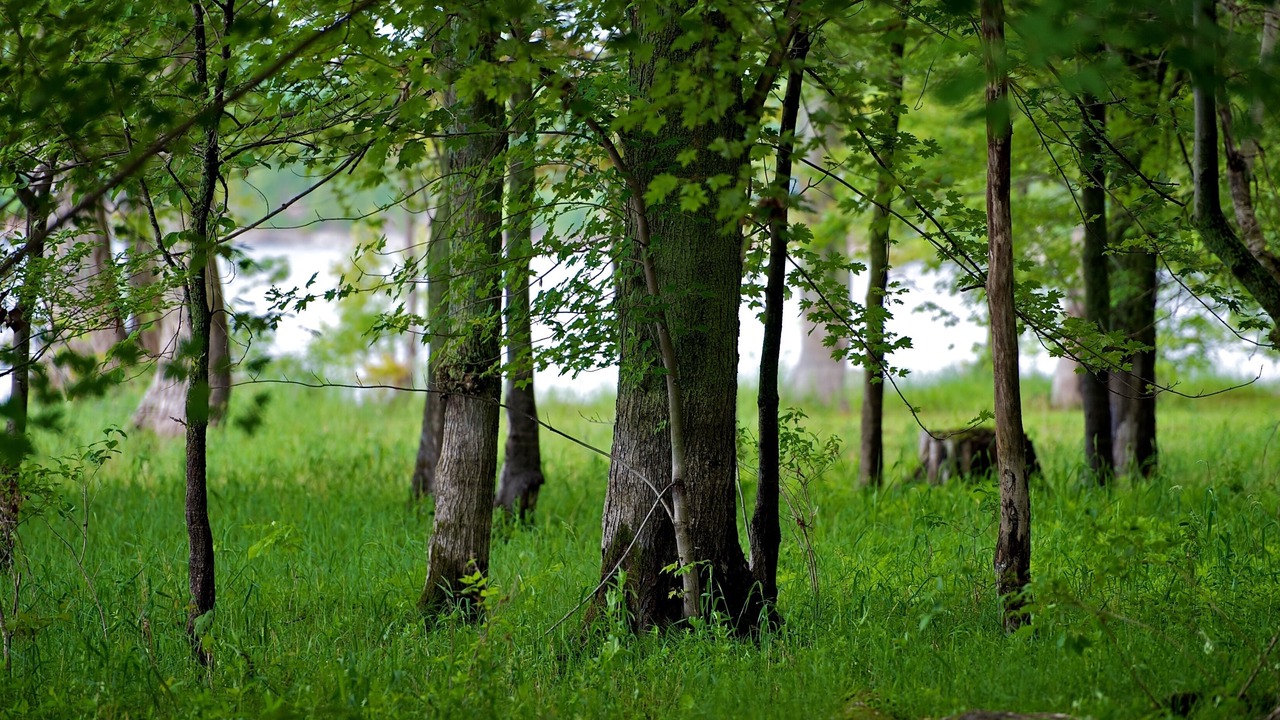 Photo of Outdoor in Isle La Motte