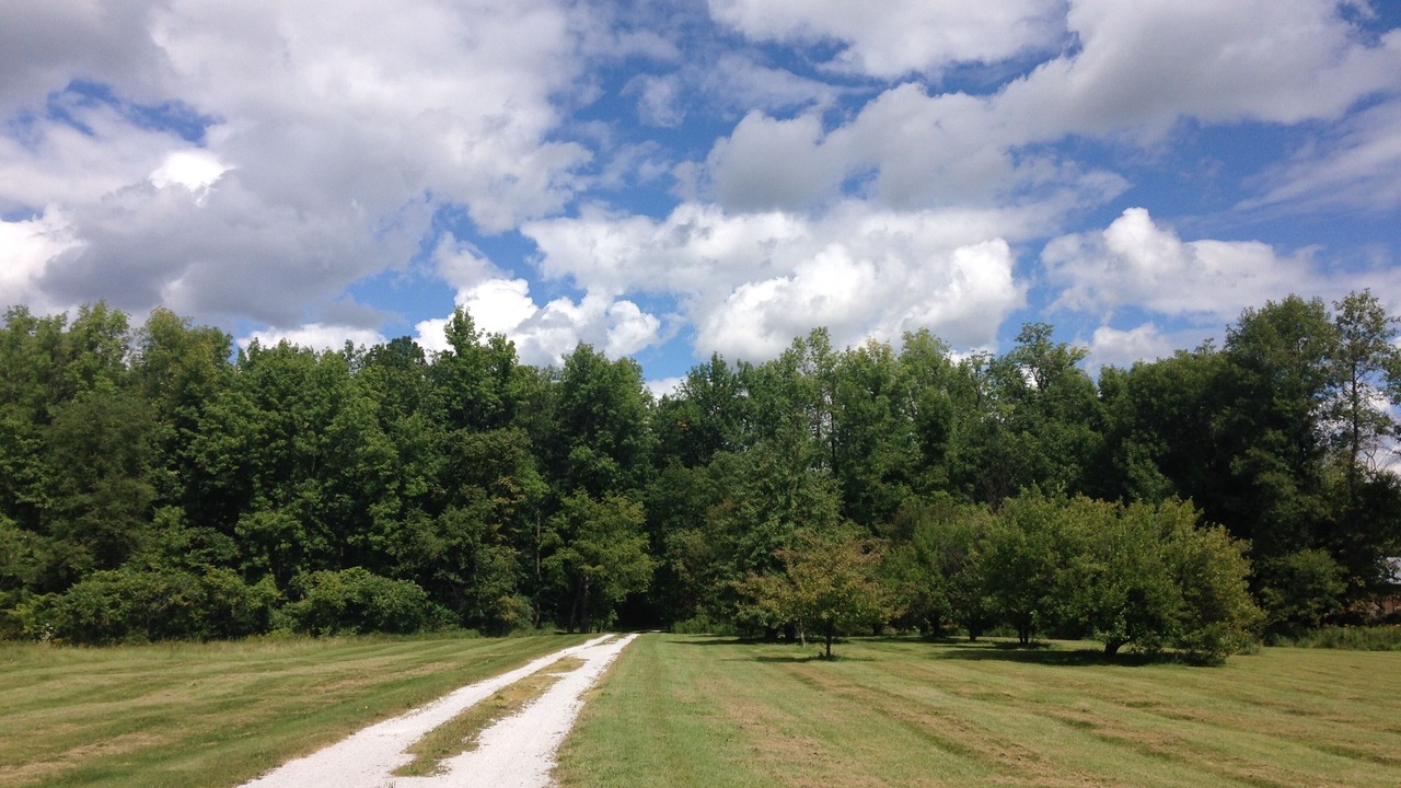 Photo of Outdoor in Isle La Motte
