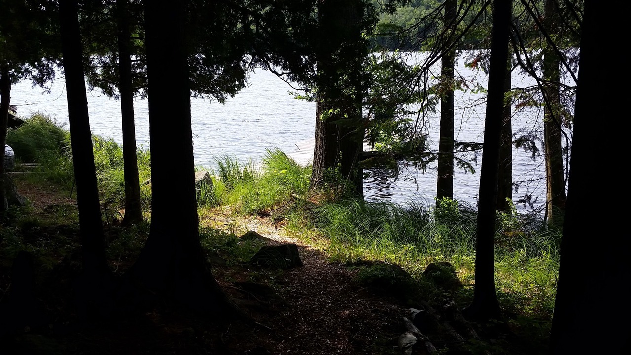 Photo of Outdoor in Lake Clear