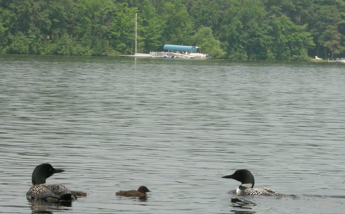 Photo of Others in Spooner