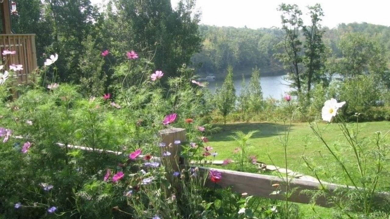 Photo of Outdoor in Birchwood