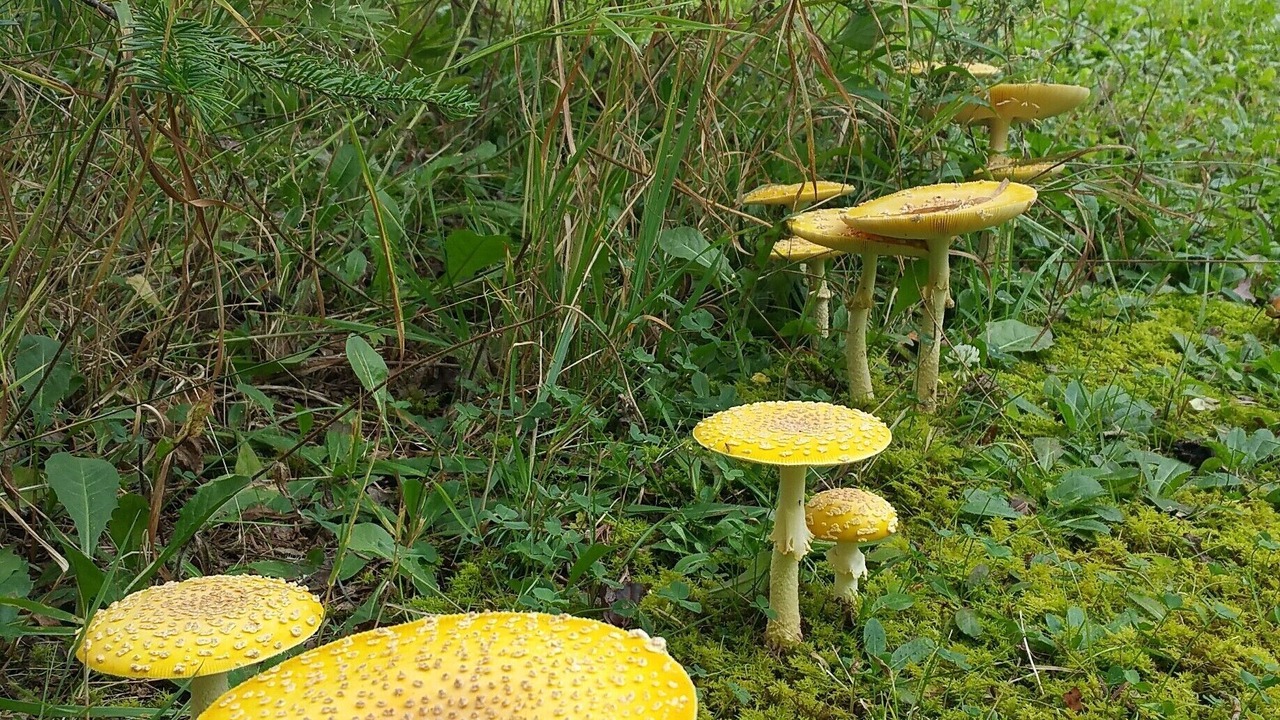 Photo of Outdoor in Finlayson