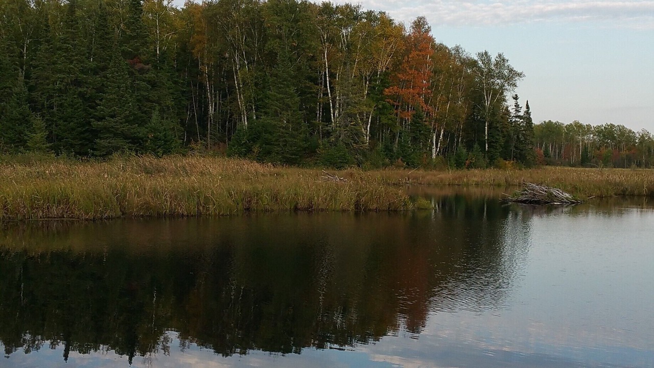 Photo of Outdoor in Finlayson