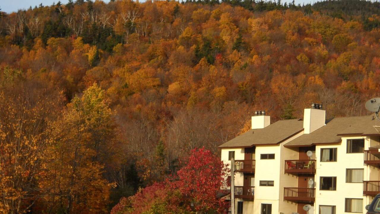 Photo of Others in Bolton Valley