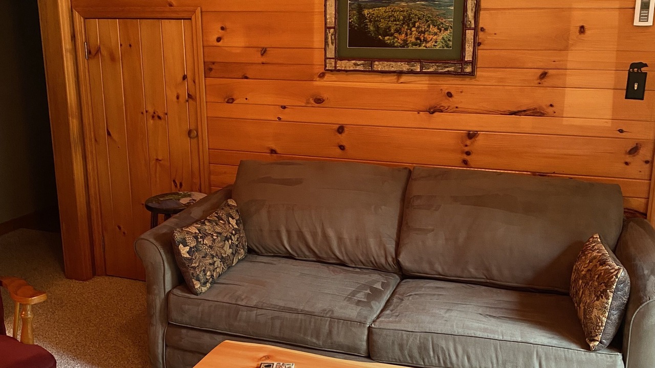Photo of Livingroom in Lake Placid