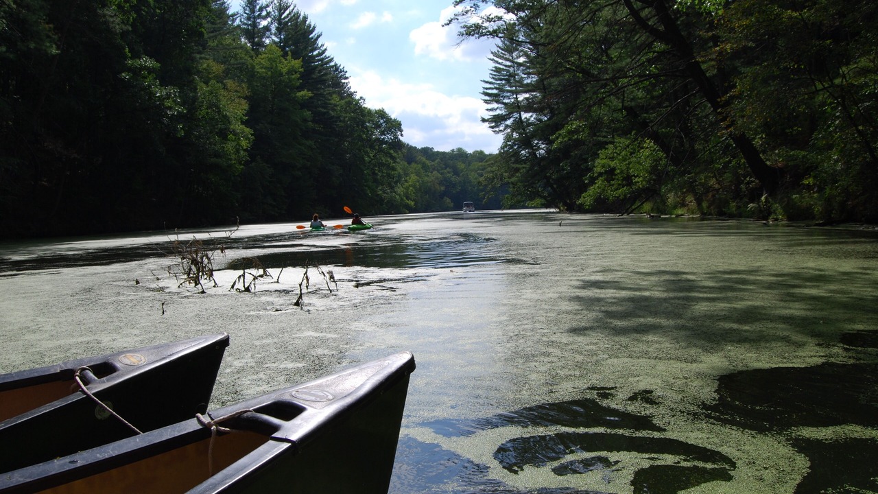 Photo of Outdoor in Mauston