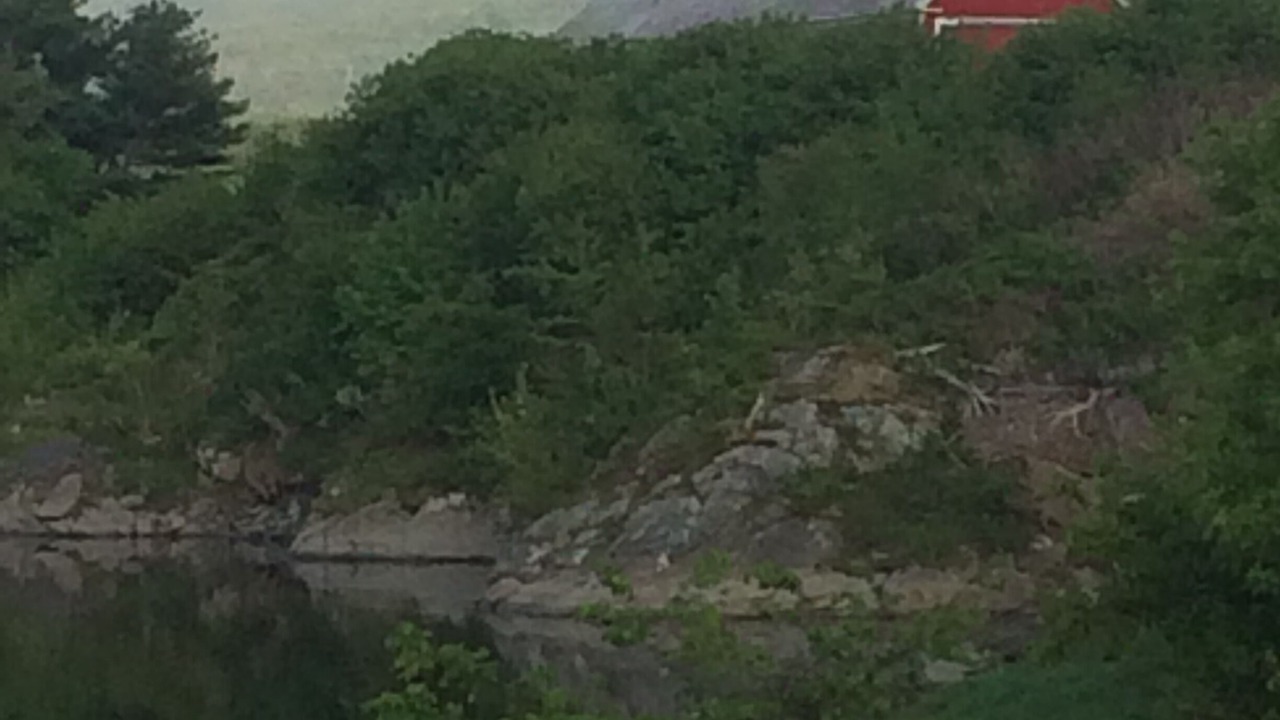 Photo of Others in Woodsville