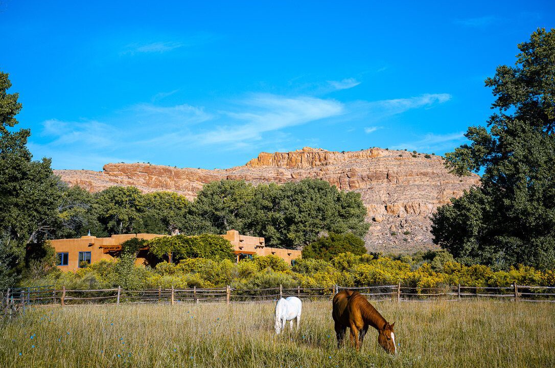 Photo of Others in Abiquiu