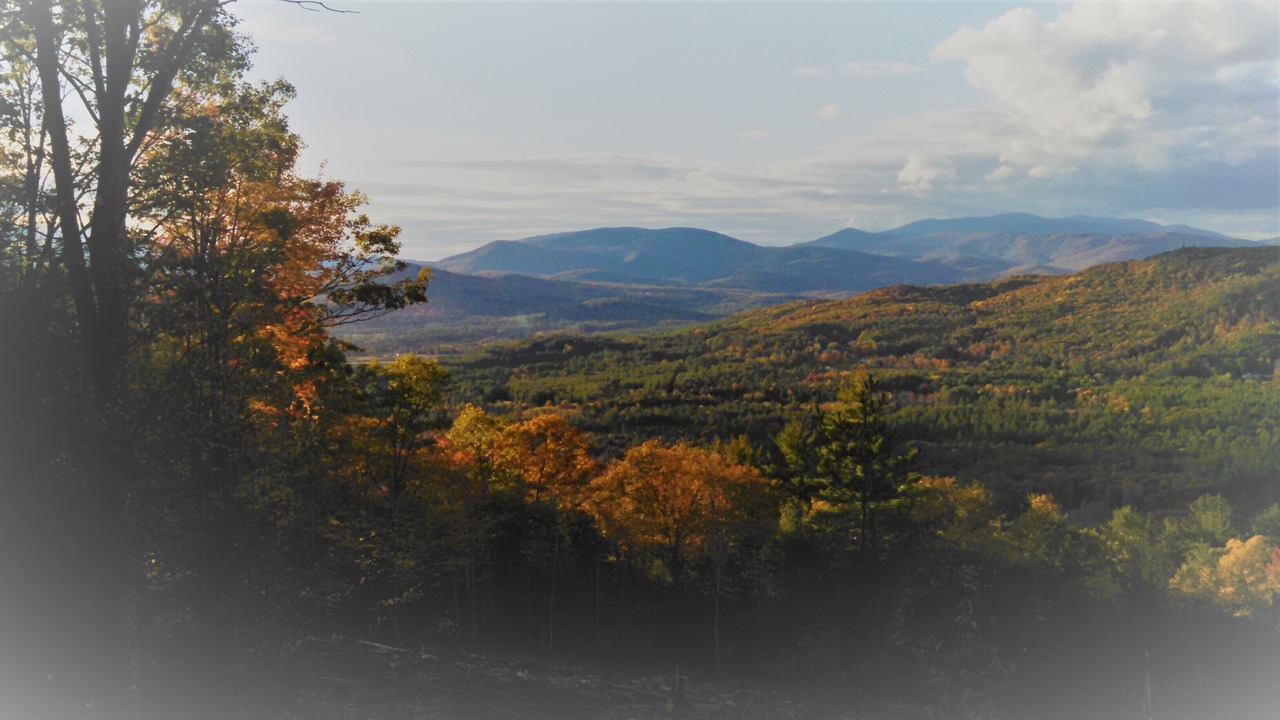 Photo of Others in Campton