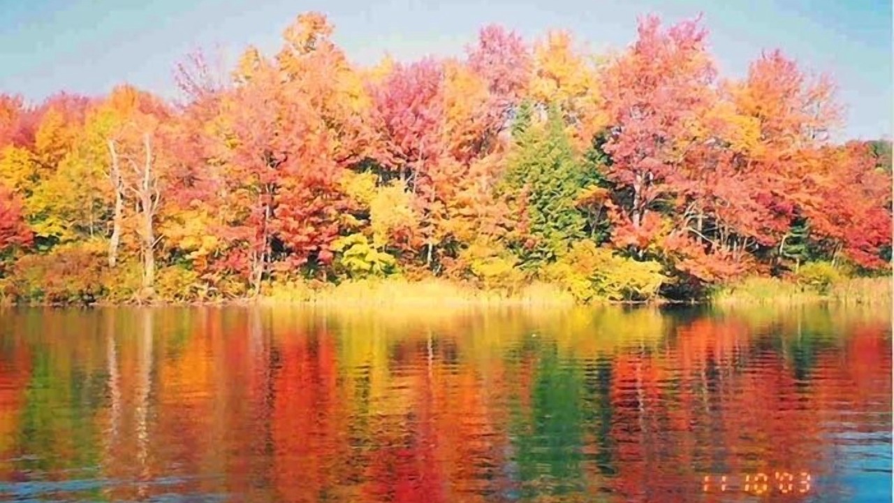 Photo of Outdoor in Hinsdale