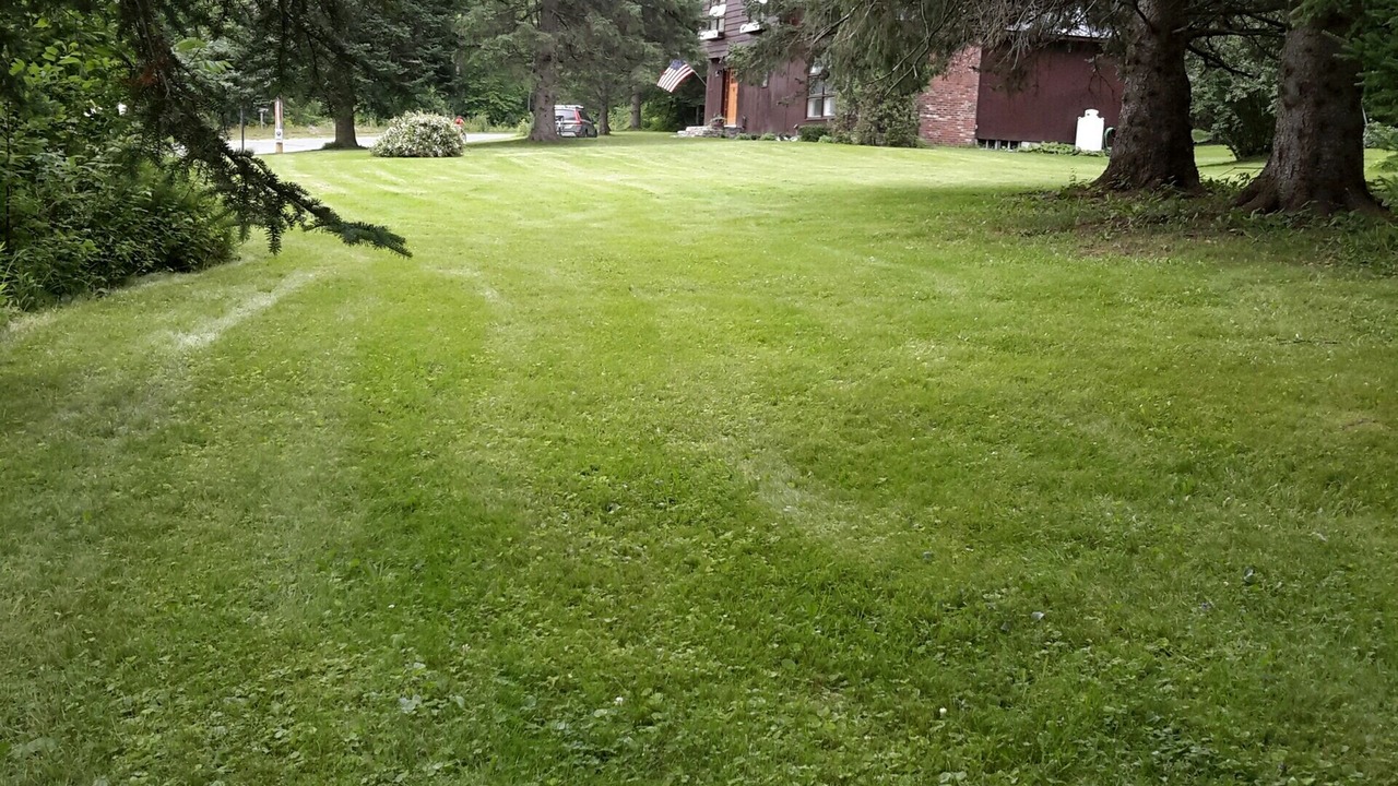 Photo of Others in East Burke