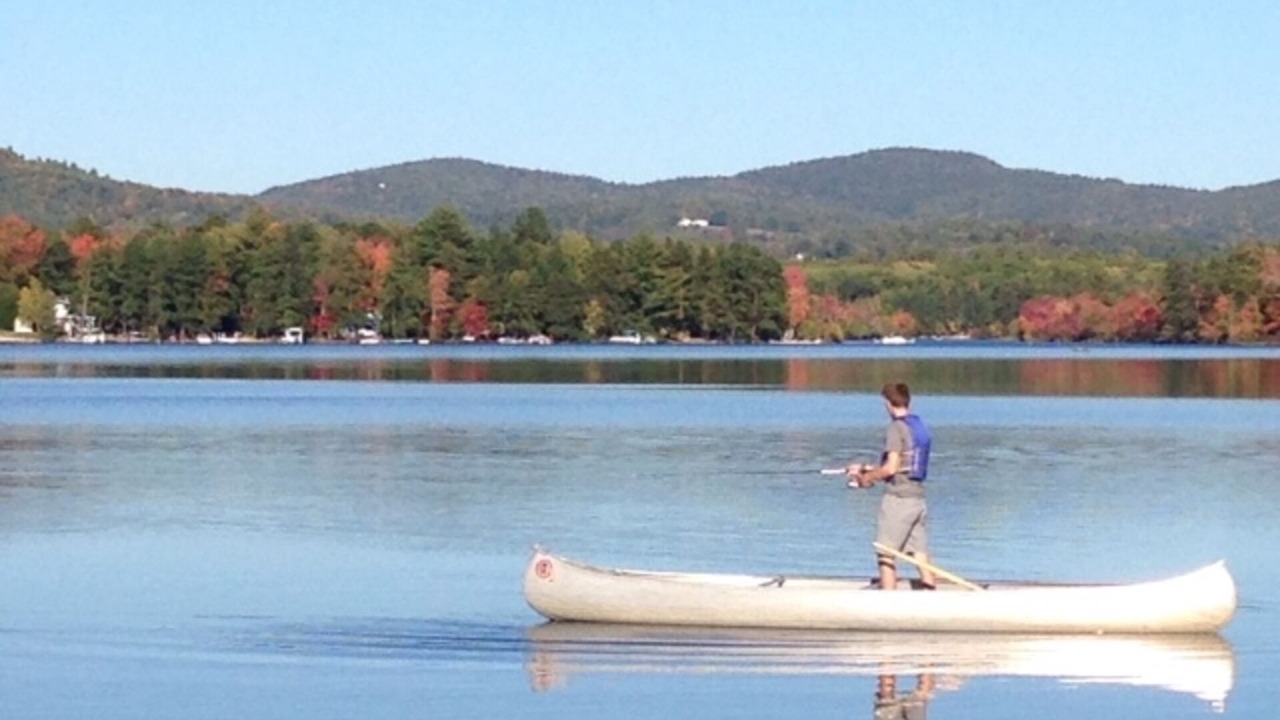 Photo of Others in The Bays