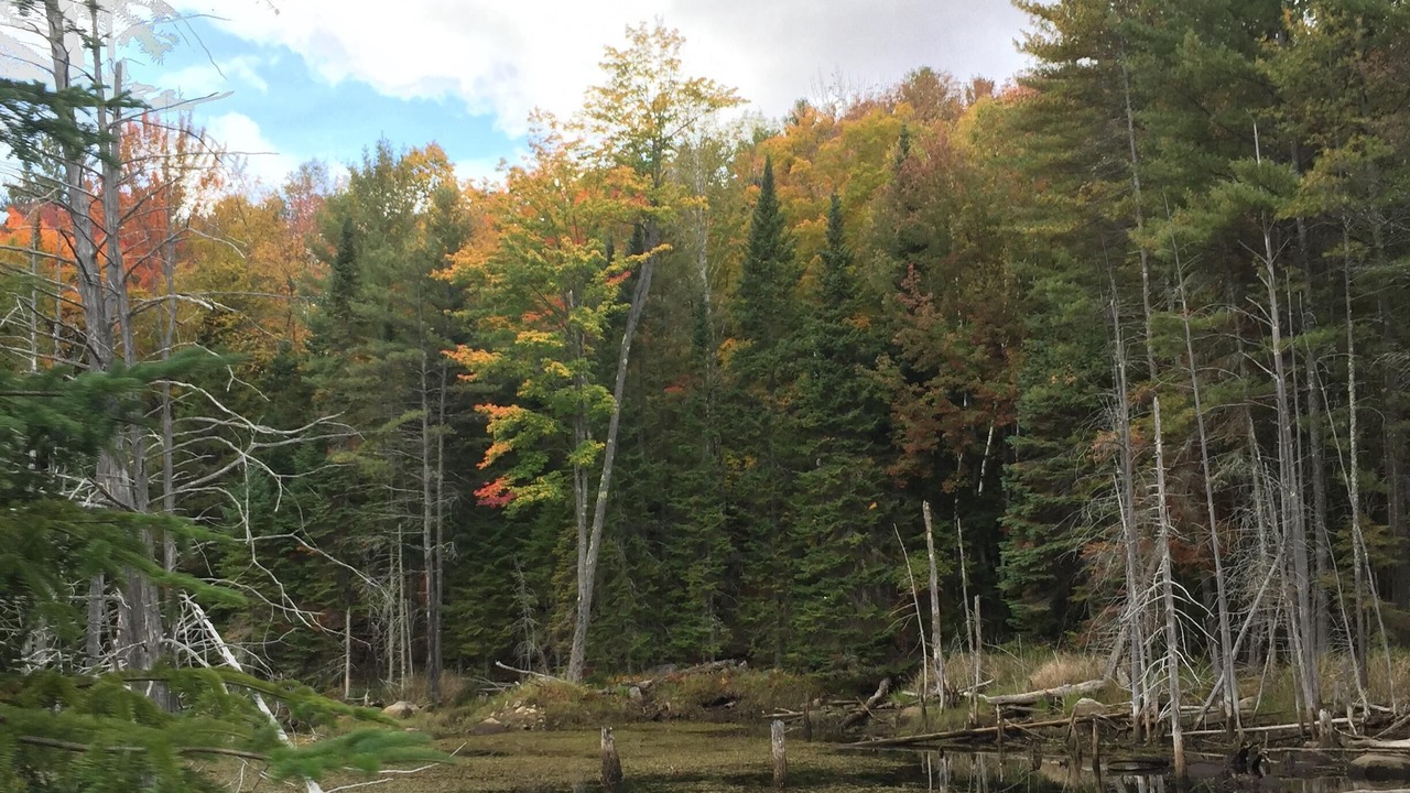 Photo of Others in Schroon Lake