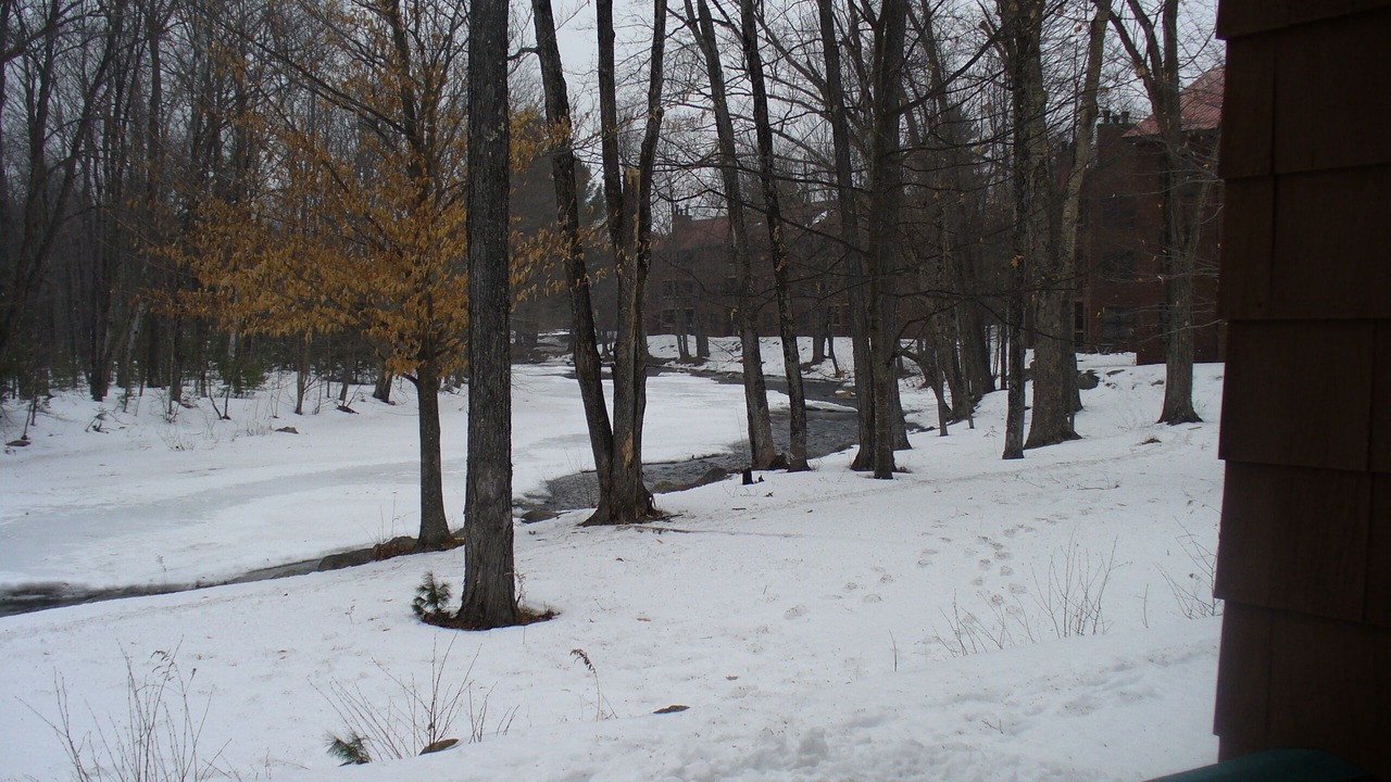 Photo of Others in North Woodstock