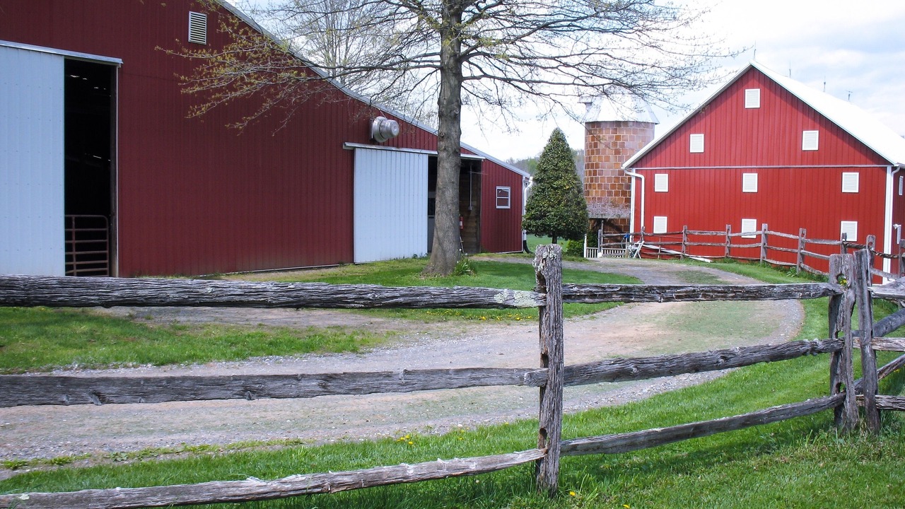 Photo of Outdoor in Mount Airy