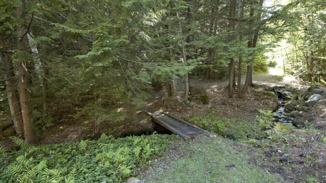 Photo of Others in Woodstock