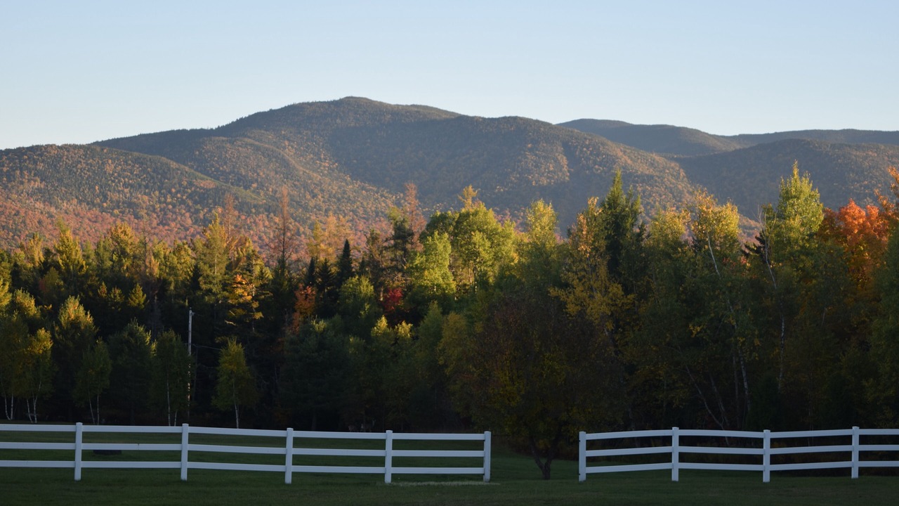 Photo of Others in Lake Placid