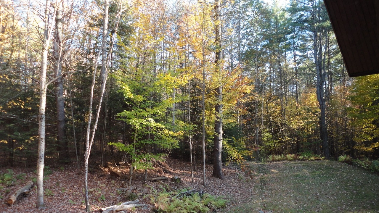 Photo of Others in Woodsville