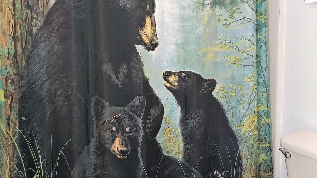 Photo of Bathroom in Lincoln