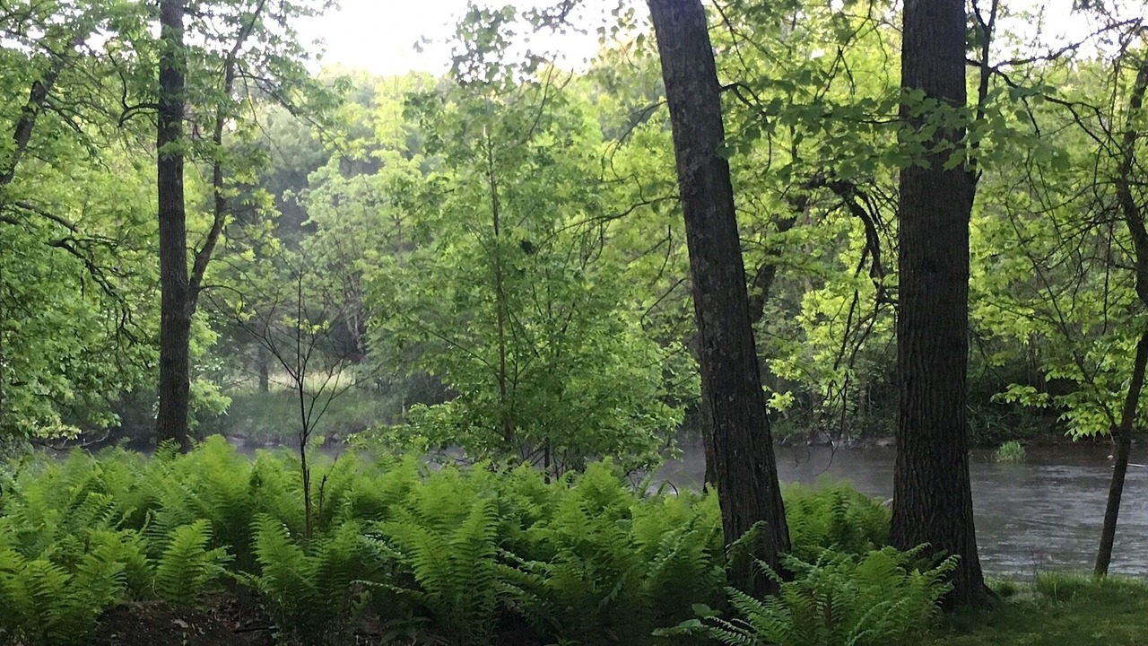 Photo of Outdoor in Waupaca