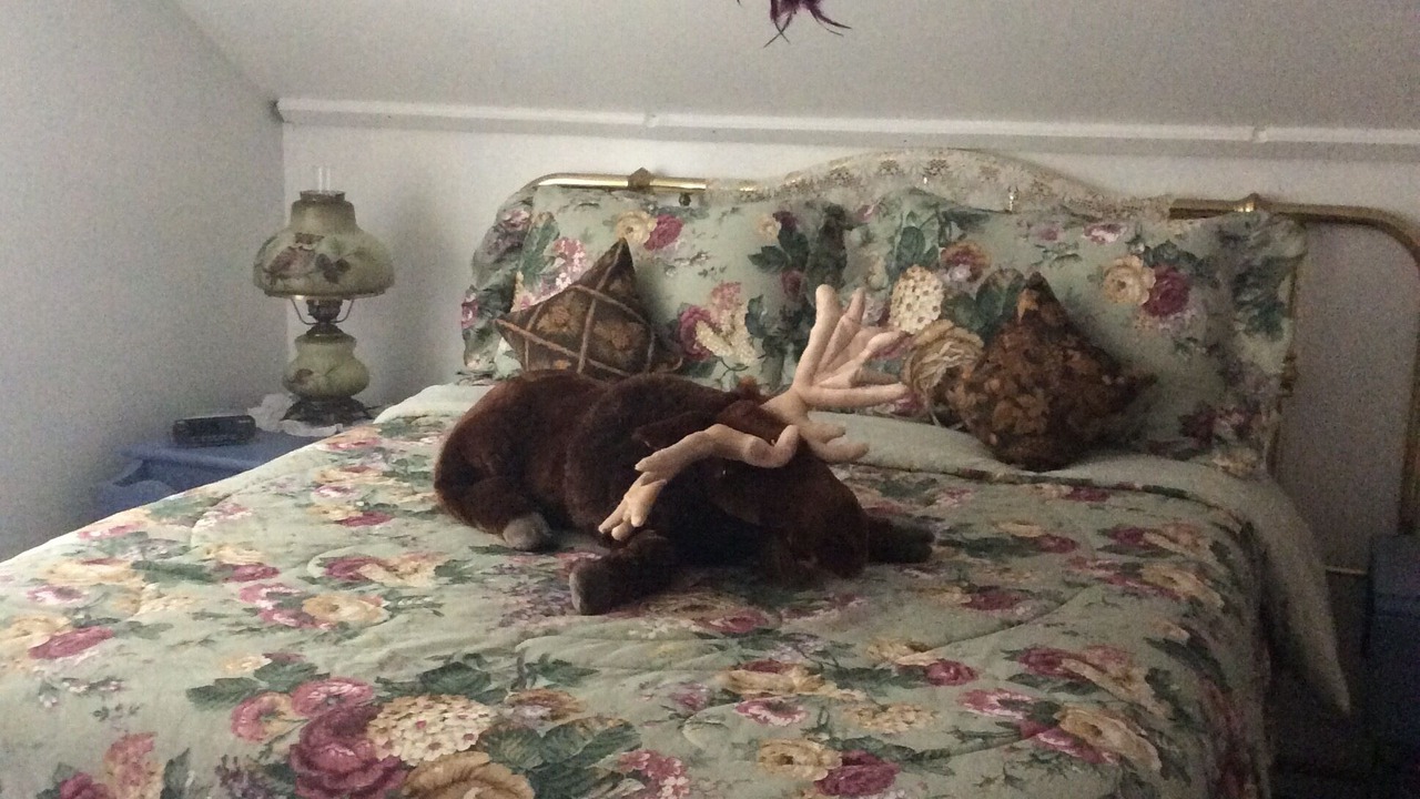 Photo of Bedroom in Caroga Lake
