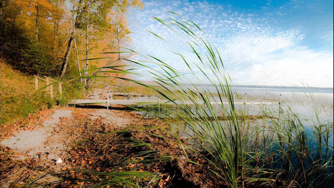 Photo of Others in Cass Lake