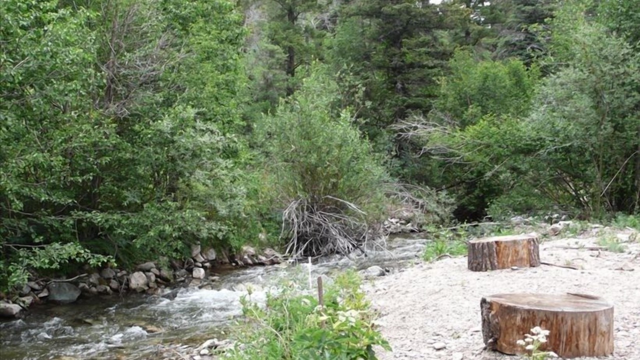 Photo of Others in Taos Ski Valley