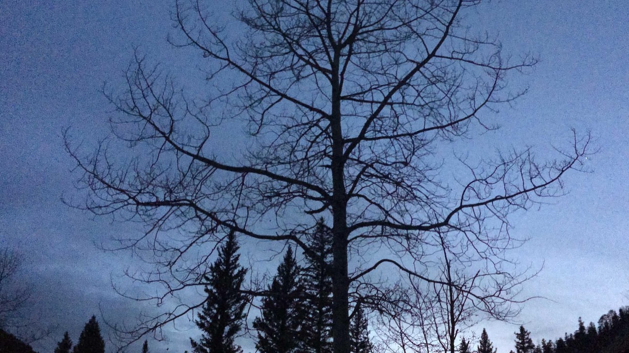 Photo of Others in Taos Ski Valley