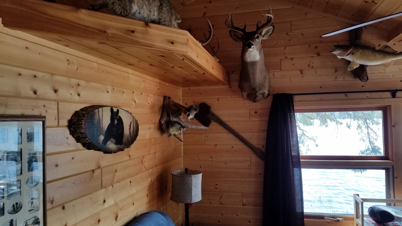 Photo of Bedroom in Outing
