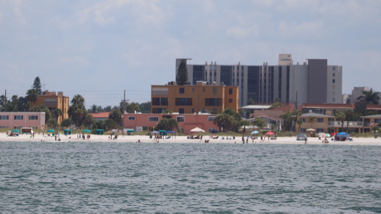 Photo of Others in Treasure Island