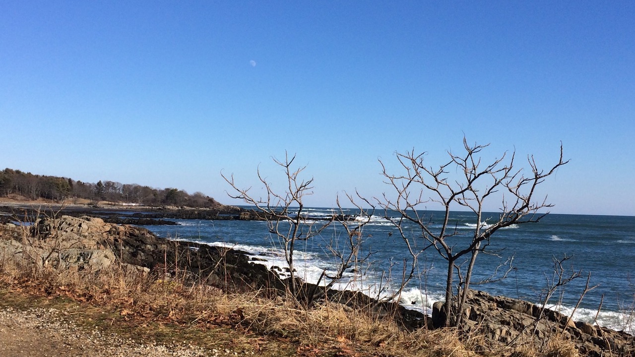 Photo of Others in Kittery Point